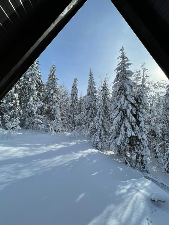 Planinska Kuca Andjela 1 Holiday home *