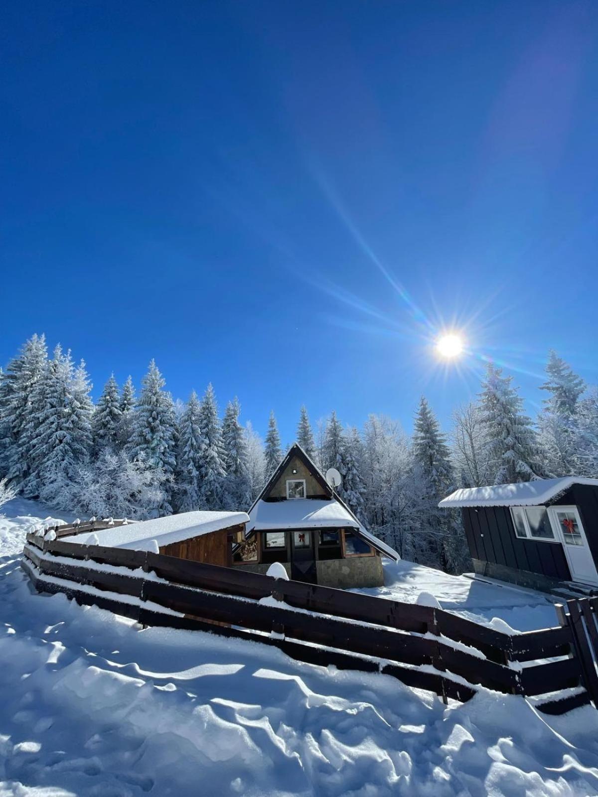Planinska Kuca Andjela 1 Holiday home Mitrovac