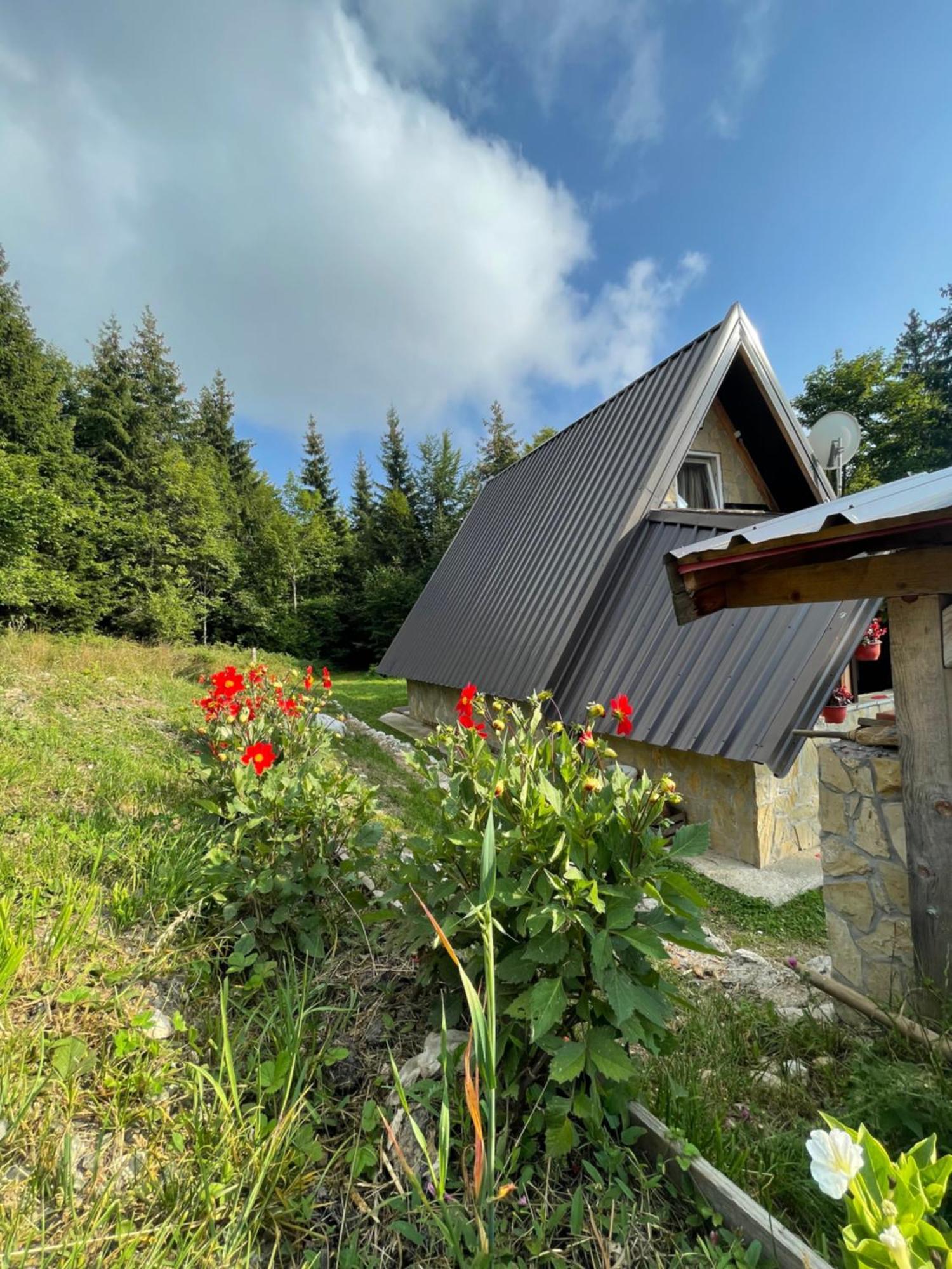 Holiday home Planinska Kuca Andjela 1 Mitrovac