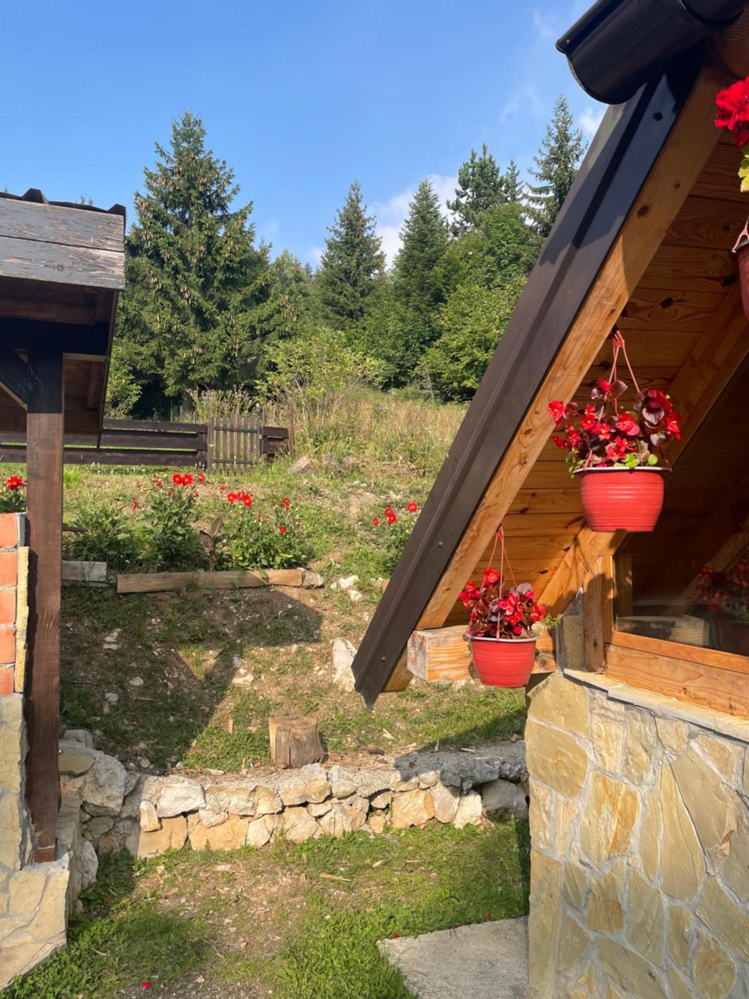 Planinska Kuca Andjela 1 * Mitrovac
