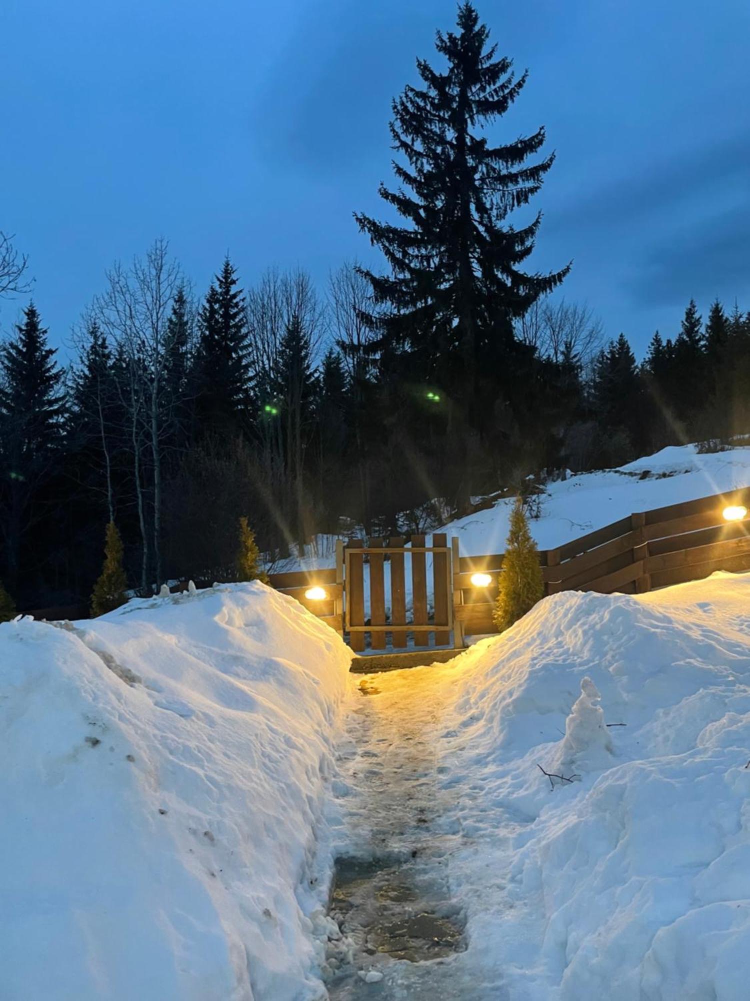 Planinska Kuca Andjela 1 *